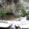 Indoor And Outdoor Urban Gardening Tips For The Winter